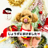 画像1811
