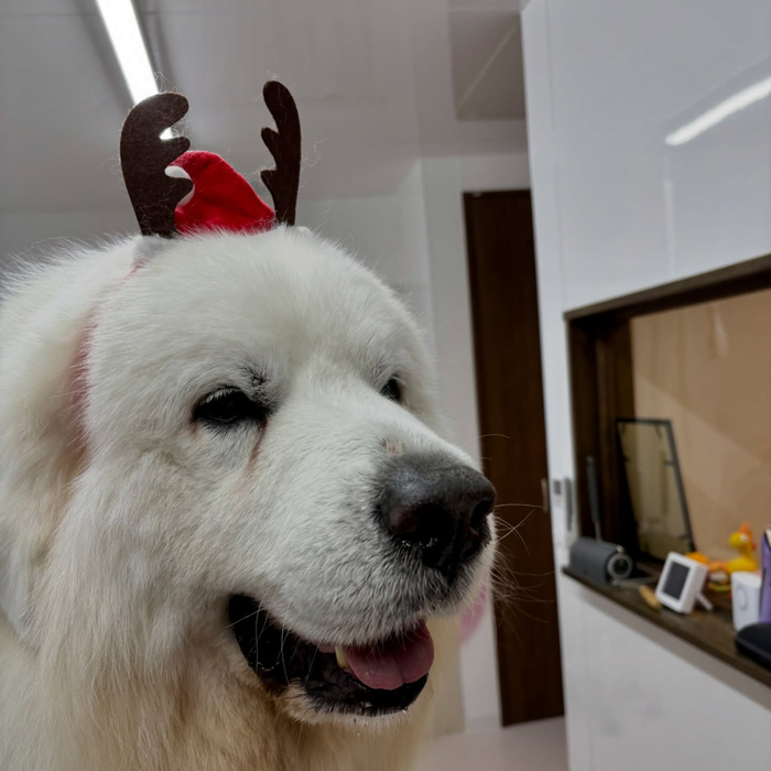 画像1833