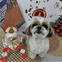 画像1918