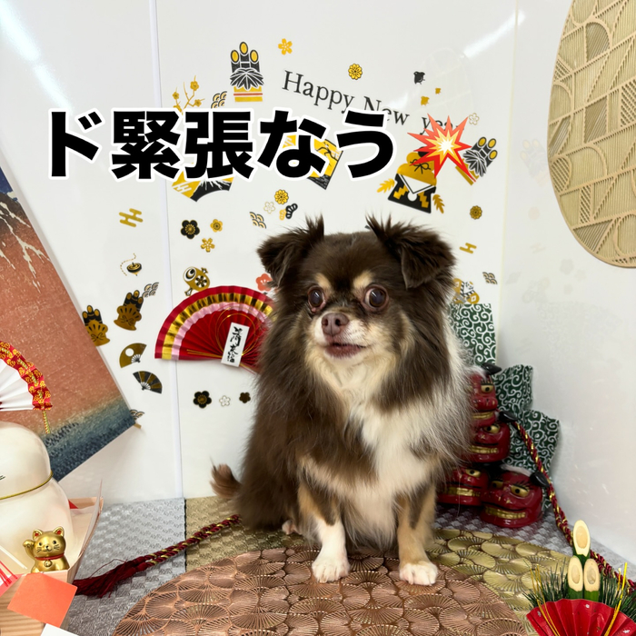 画像1980