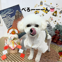 画像1987