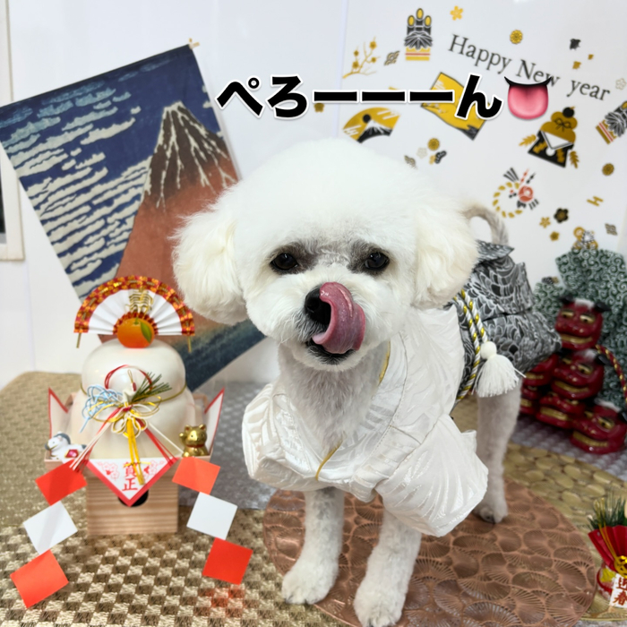 画像1987