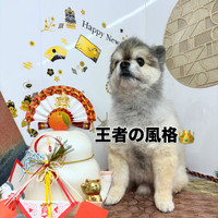 画像1996