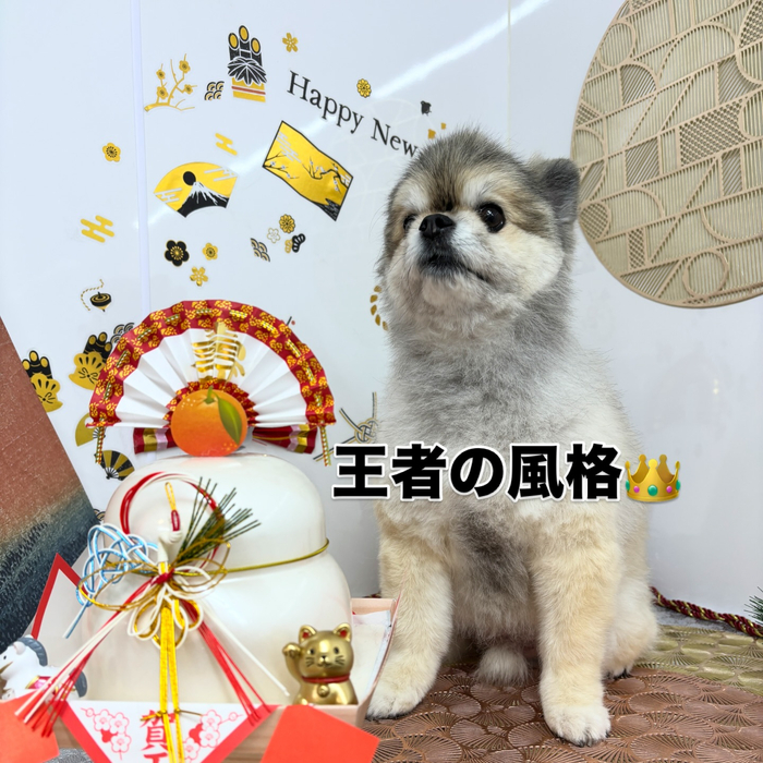 画像1996