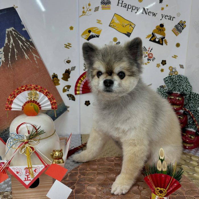 画像2000