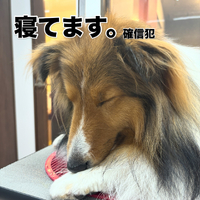 画像2016