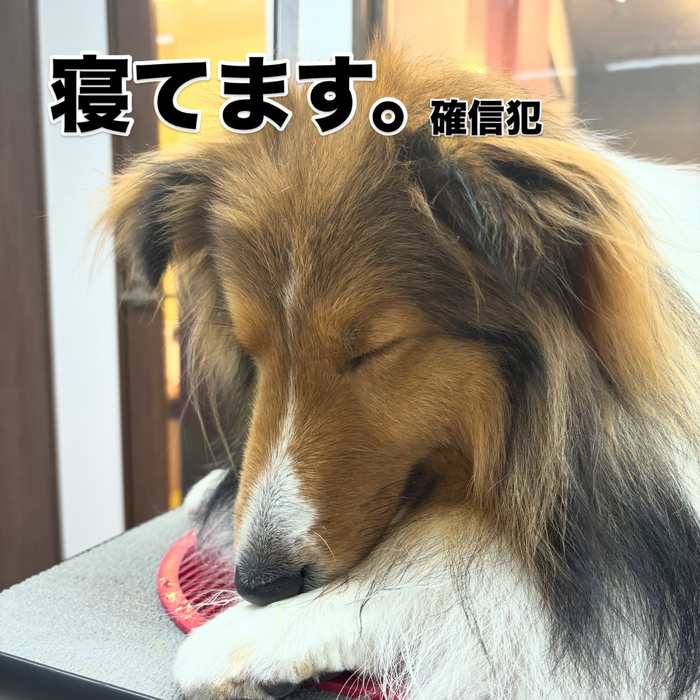 画像2016