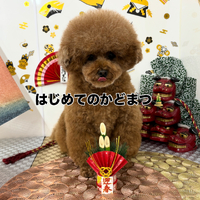 画像2026