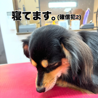 画像2034