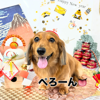 画像2043