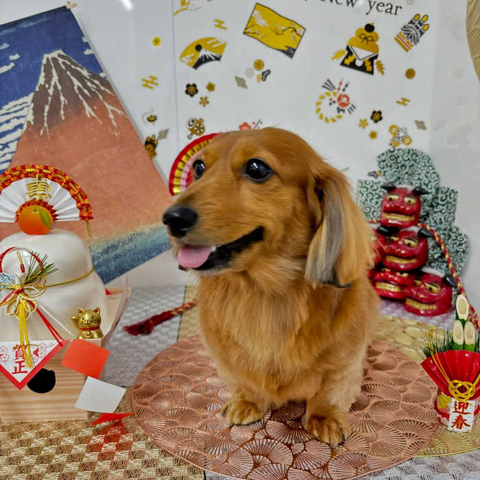 画像2046