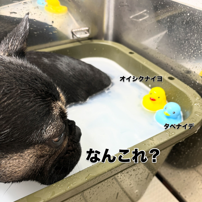 画像2050