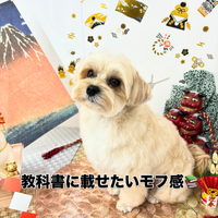 画像2058