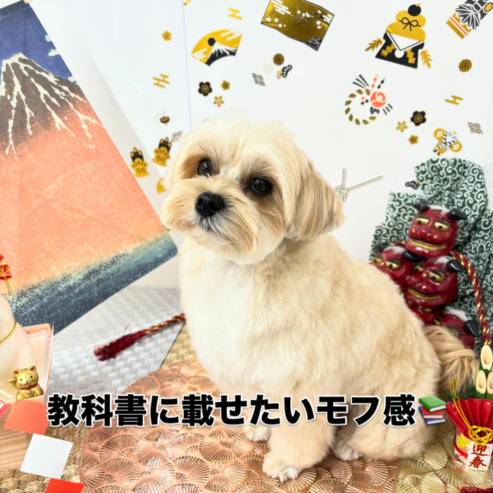 画像2058