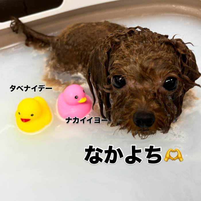 画像2065