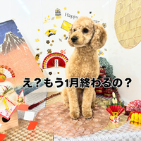画像2072