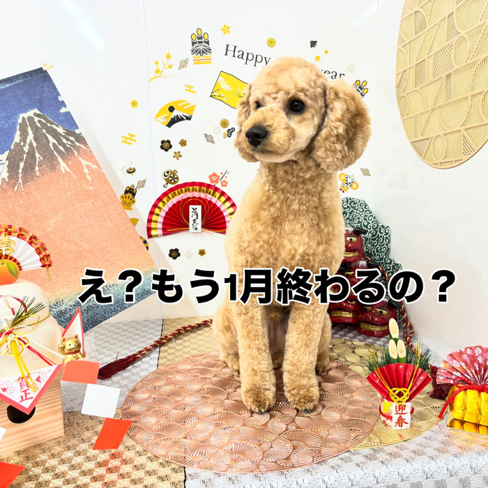 画像2072