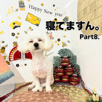 画像2078