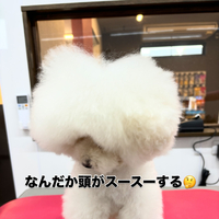 画像2084