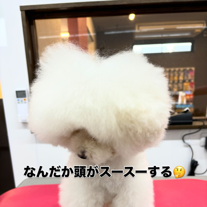 画像2084