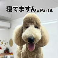 画像2091