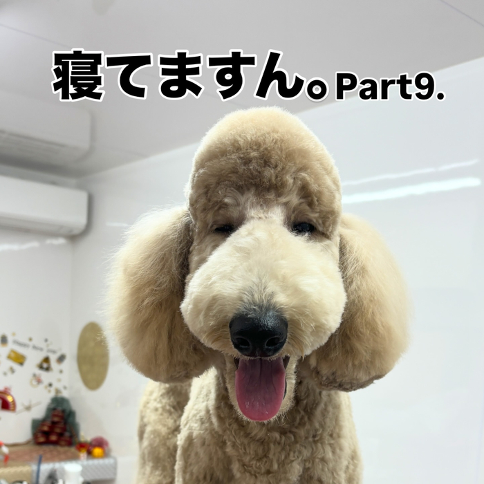 画像2091