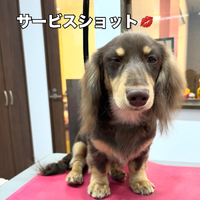画像2113