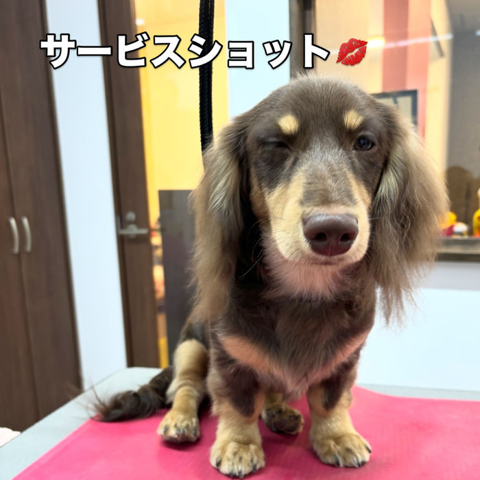 画像2113