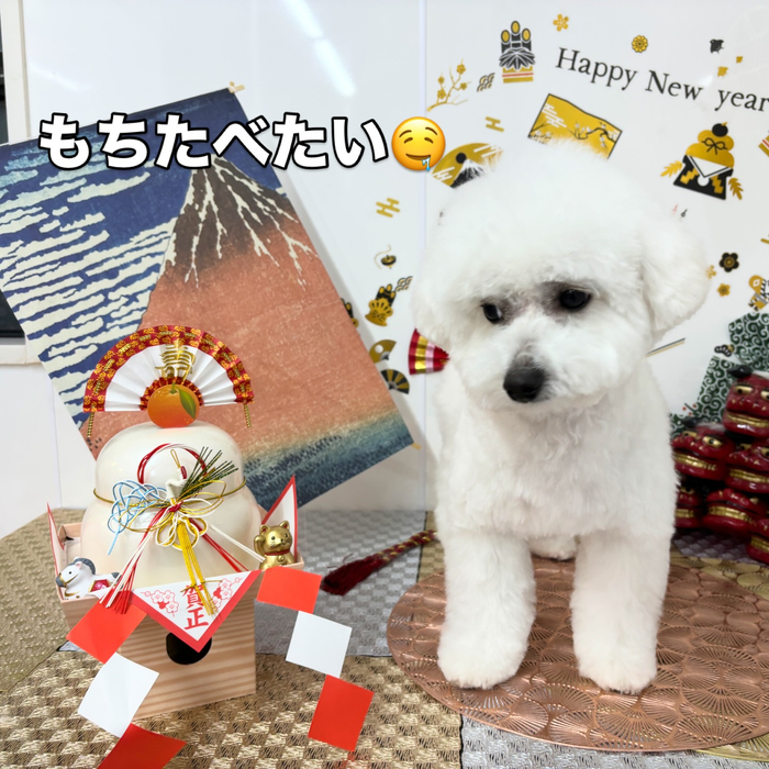 画像2123