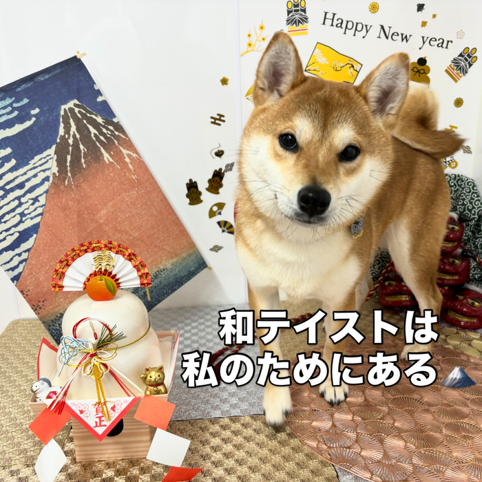 画像2133