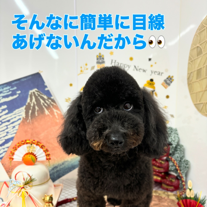 画像2139