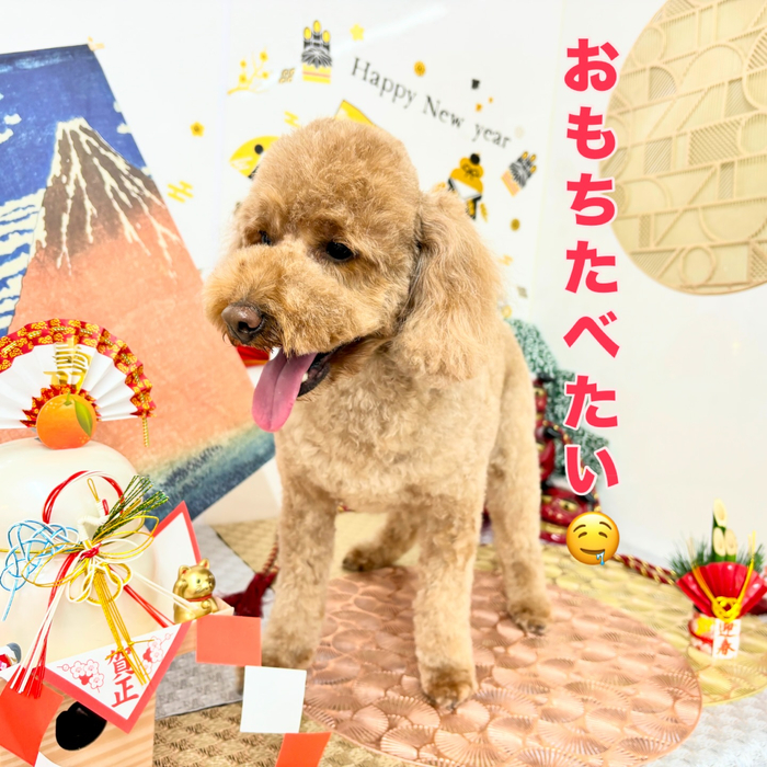 画像2148