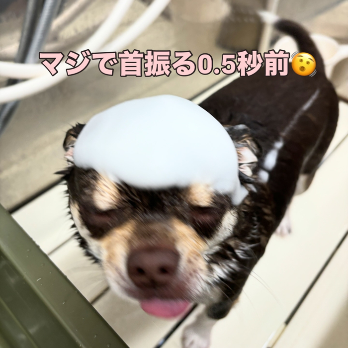 画像2169