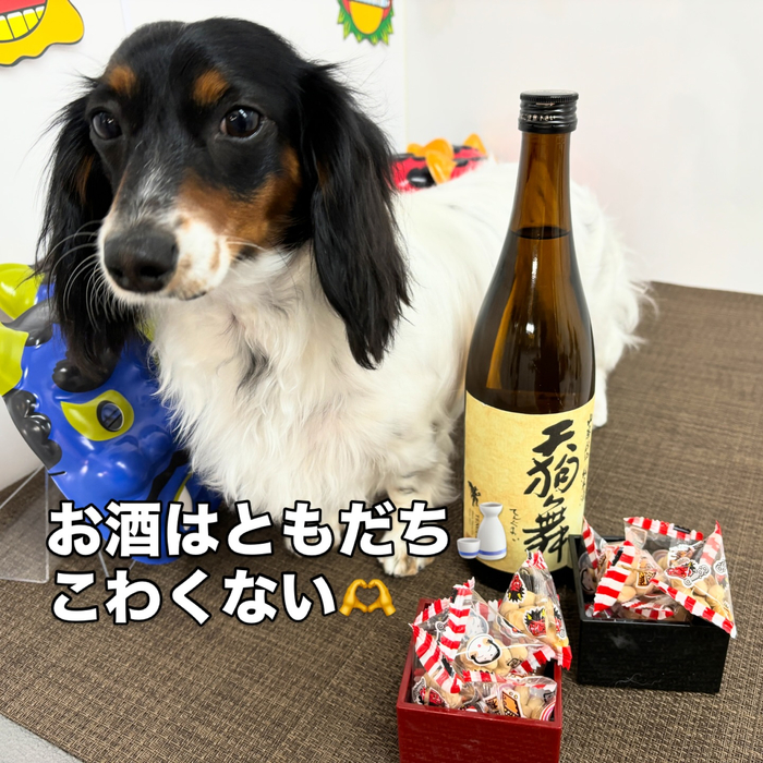 画像2177