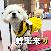 画像2183
