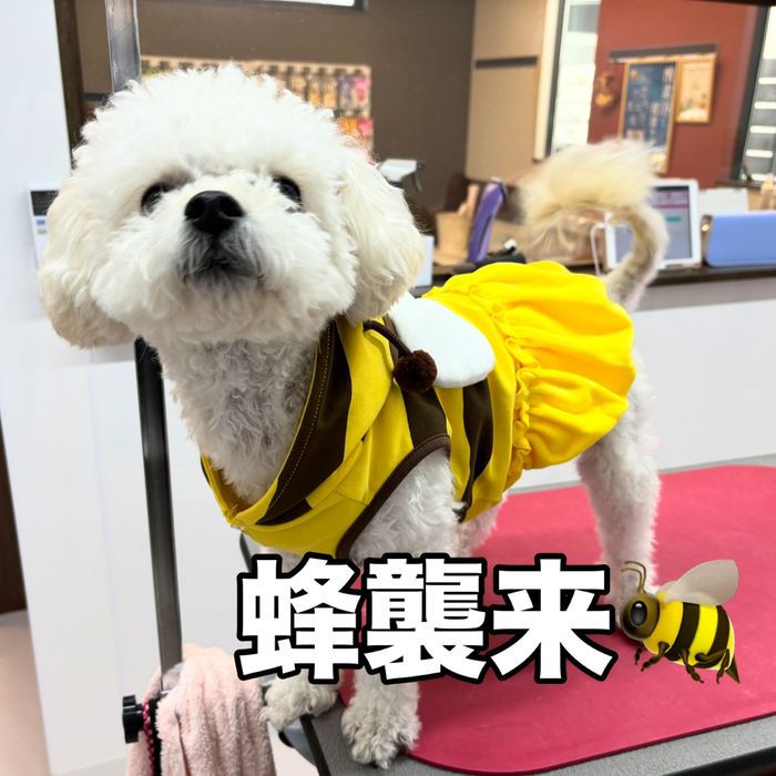 画像2183