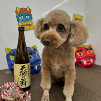 画像2194