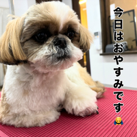 画像2196