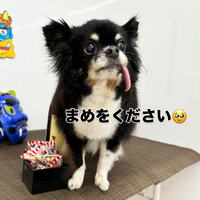 画像2203