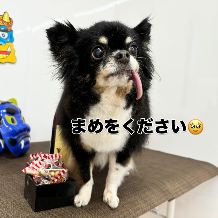 画像2203