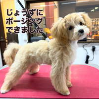 画像2212