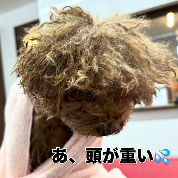 画像2219