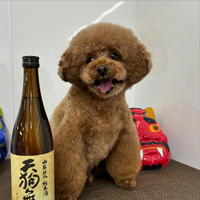 画像2222