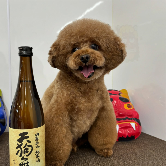 画像2222