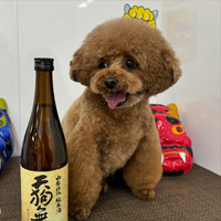 画像2223