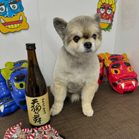 画像2232