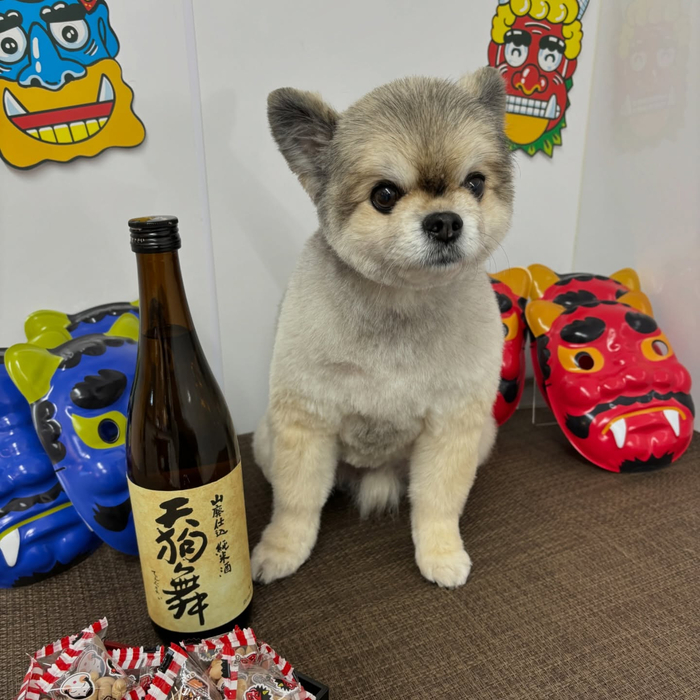 画像2232