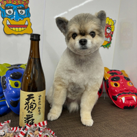 画像2233