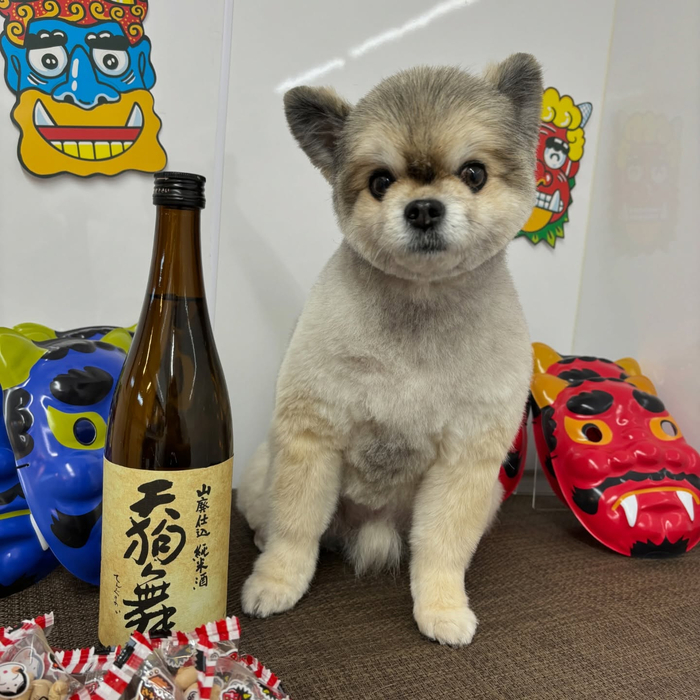 画像2233