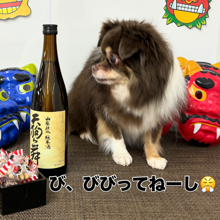 画像2237